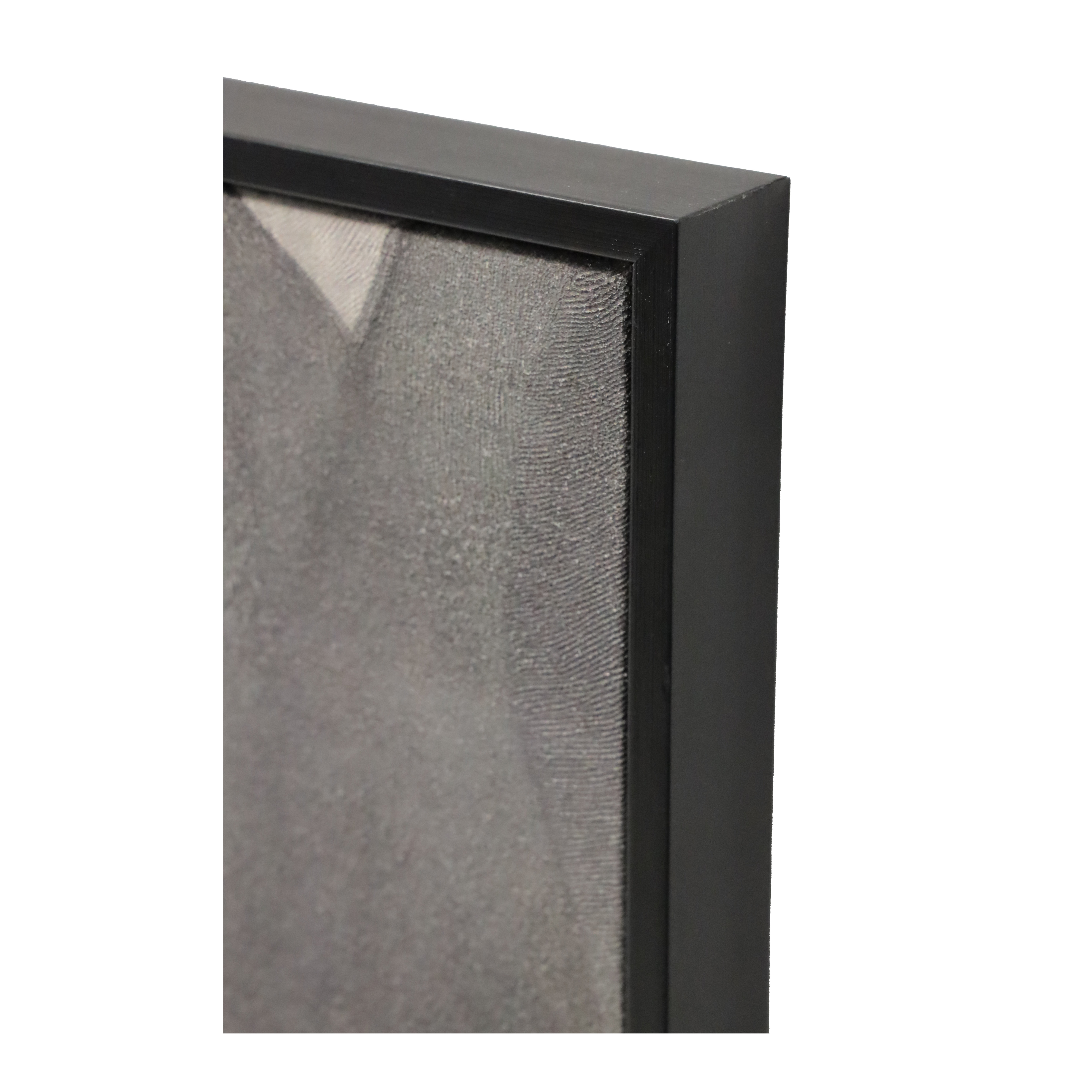 Bloom Framed Art - Black