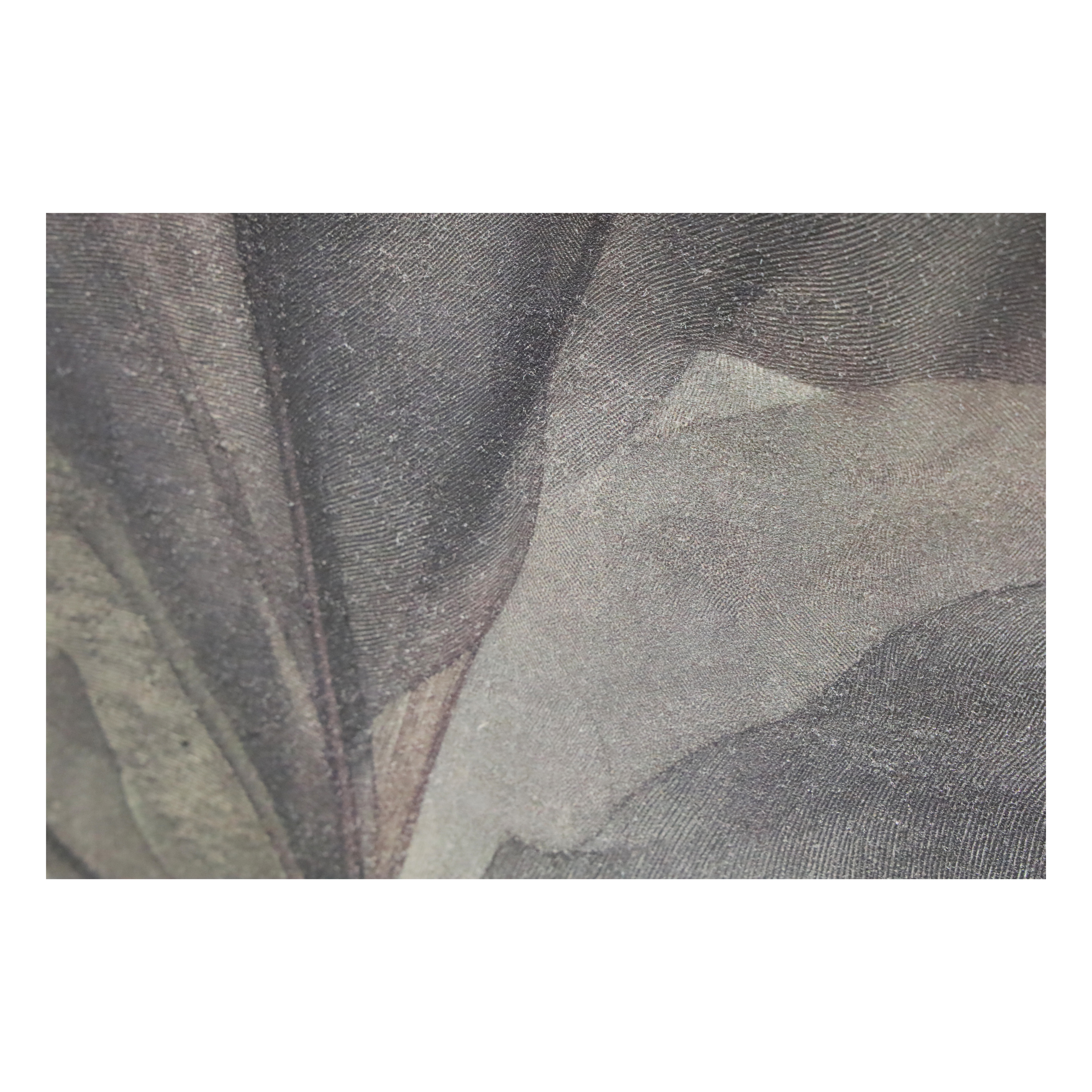 Bloom Framed Art - Black