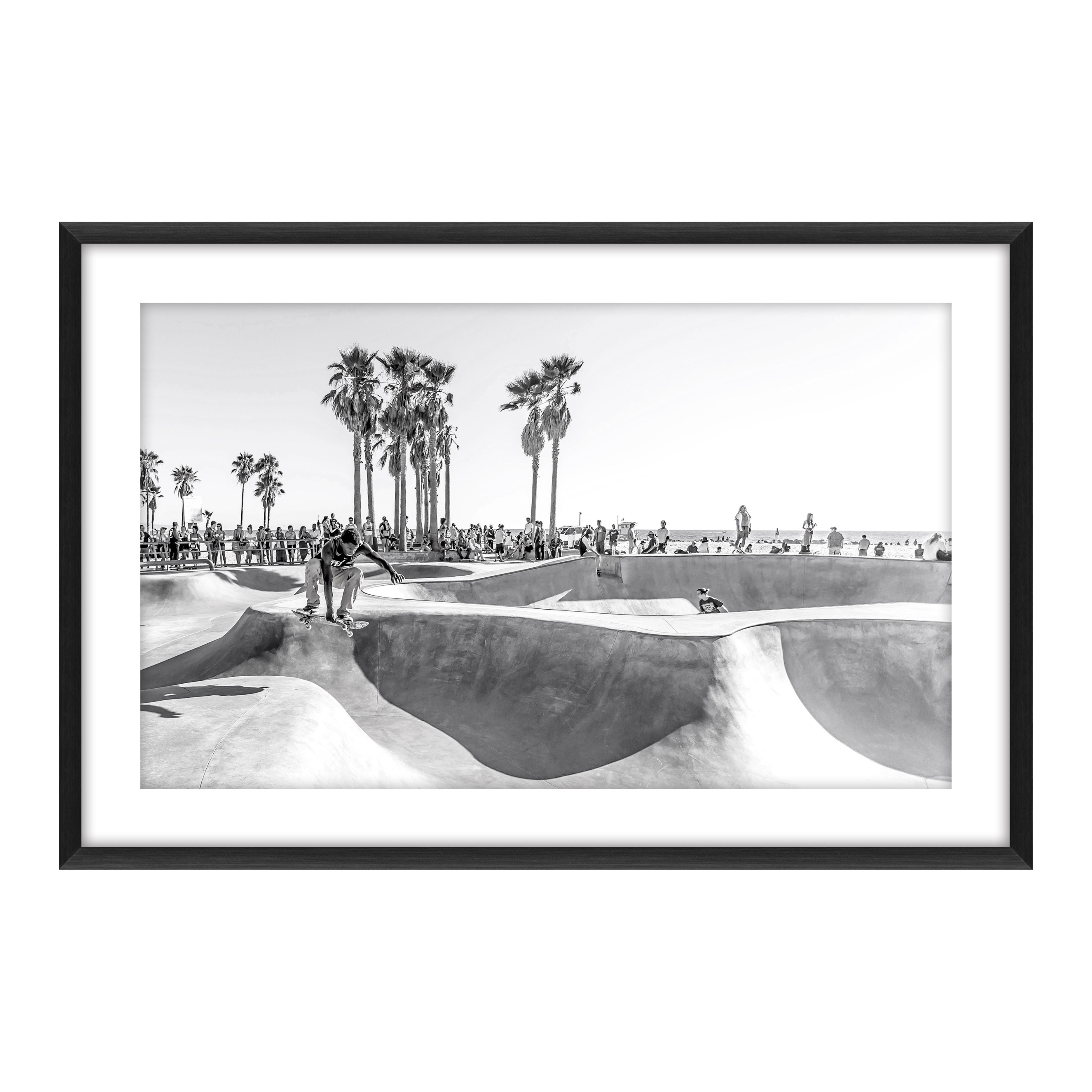Palm Skate Glass Framed Canvas - Black